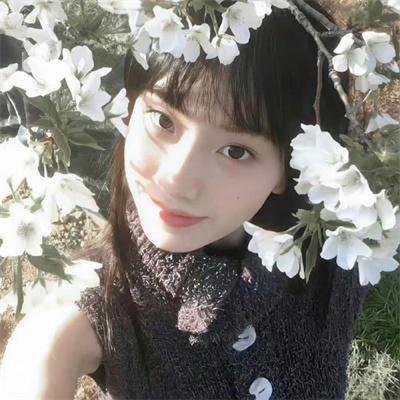 麦田