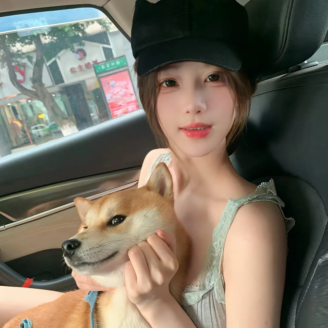 完美的主人